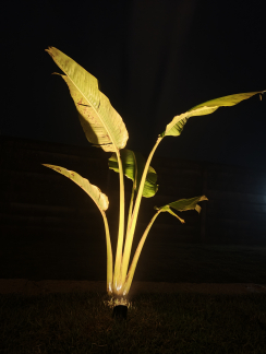 Câmera traseira noturna