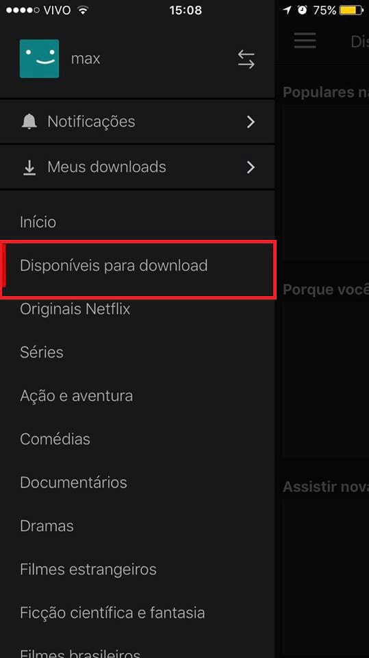 como fazer download netflix pc