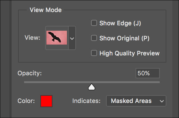 Photoshop show brush size