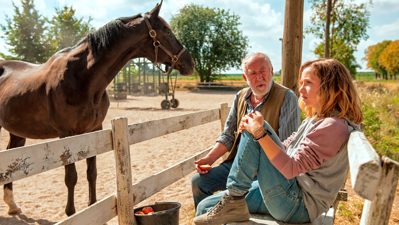 6 boas séries sobre cavalos na Netflix