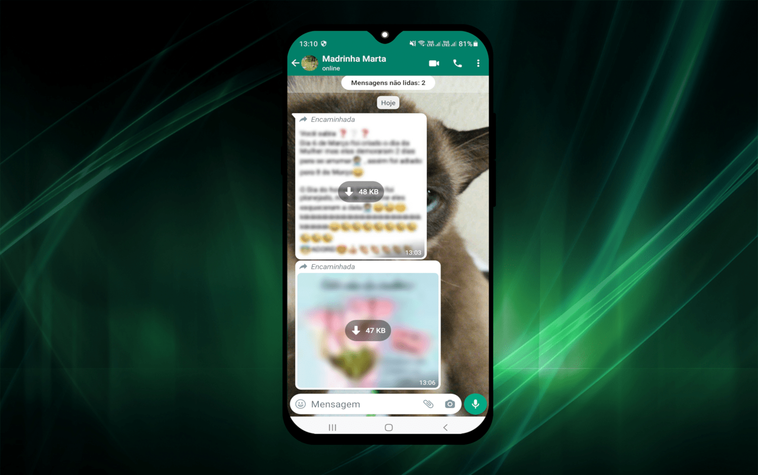 Armazenamento cheio? Aprenda a apagar fotos, GIFs e vídeos baixados do  WhatsApp - Olhar Digital