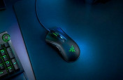 Razer DeathAdder V2