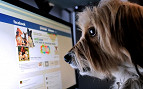 Facebook não permite mais a venda de animais vivos