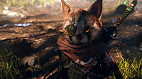 101 Experiment fala sobre a demora para que Biomutant seja lançado