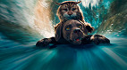 Um filme de comédia com animais na Netflix perfeito para assistir com as crianças