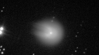 Imagem do Cometa do Diabo (12P/Pons-Brooks). Imagem: Comet Chasers/Reprodução