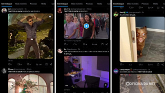 O termo twitter is back está entre os principais do dia na plataforma. Imagem: Captura de tela
