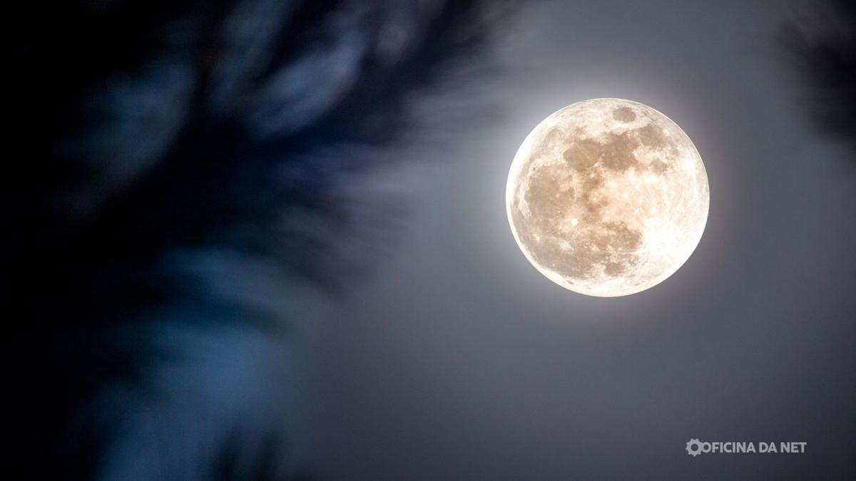 Veja como está a Lua hoje. Imagem: Oficina da Net