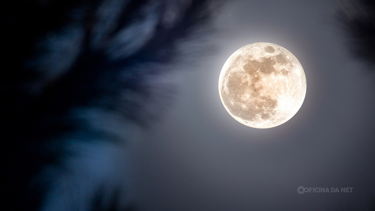 Veja como está a Lua hoje. Imagem: Oficina da Net