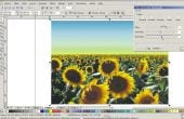 Editando imagens no CorelDraw