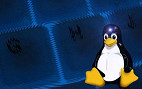 Comandos do Linux para Redes 